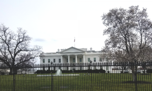 College Protests Reach White House